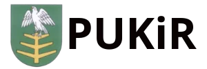 eBOK - logo